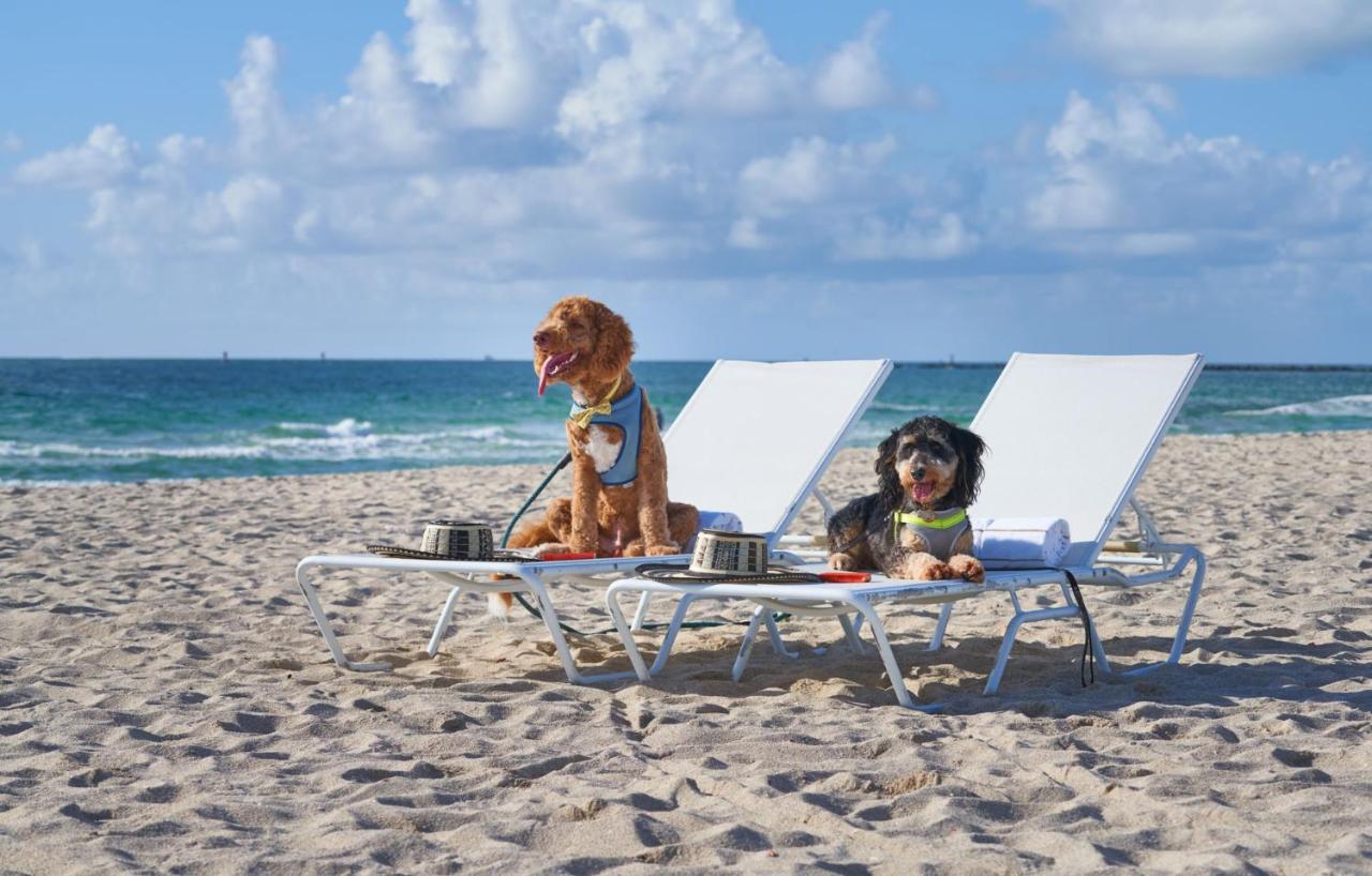 The Balfour Hotel Miami Beach Eksteriør billede